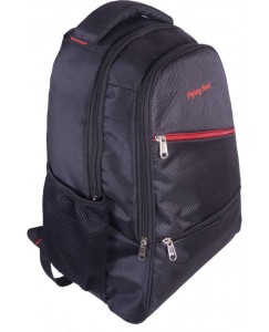 Flying Soul 15.6 inch laptop backpack-Business office laptop bag - travel backpacks 29 Laptop Backpack  (Black)