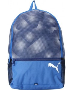 Puma Alpha 25 L Laptop Backpack  (Blue)