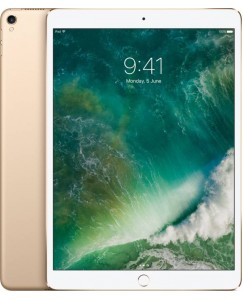 Apple iPad Pro 256 GB 10.5 inch with Wi-Fi Only  (Gold)