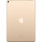 Apple iPad Pro 512 GB 10.5 inch with Wi-Fi Only  (Gold)