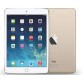 Apple iPad Pro 128 GB 9.7 inch with Wi-Fi Only  (Gold)