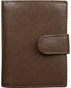 Style 98 100% Pure Leather 15 Card Holder  (Set of 1, Brown)