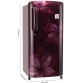 LG 190 L Direct Cool Single Door 4 Star Refrigerator  (Scarlet Orchid, GL-B201ASOX)