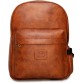 The Clownfish Exclusive Artificial Leather 21.507 L Backpack  (Brown)